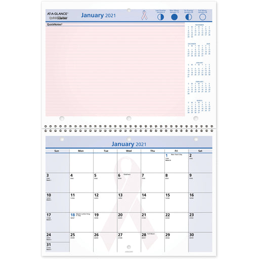 At-A-Glance QuickNotes Special Edition Monthly Wall Calendar