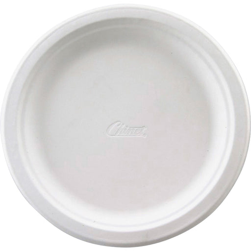 Chinet Premium Tableware Plates