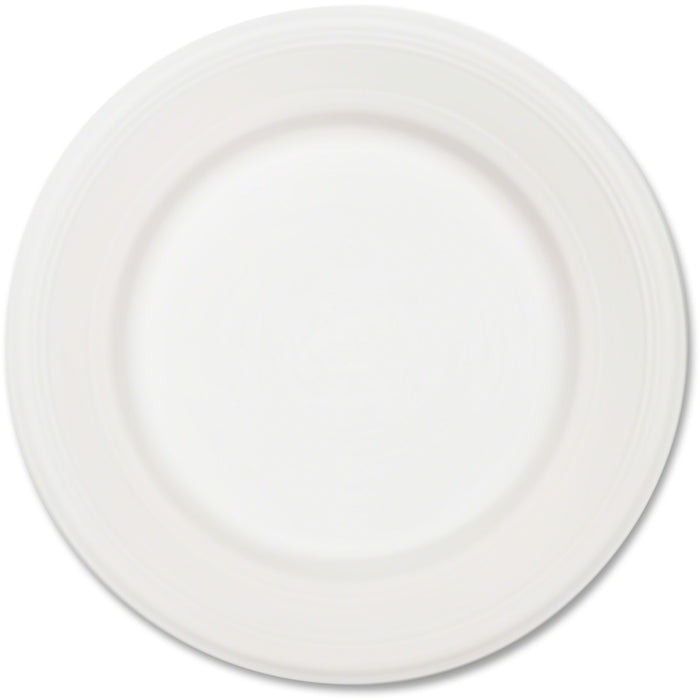Chinet Classic White Plates