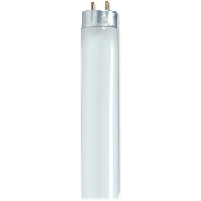 Satco 25-watt 48" T8 Fluorescent Bulb