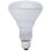 GE Lighting Reveal 65-watt R30 Floodlight